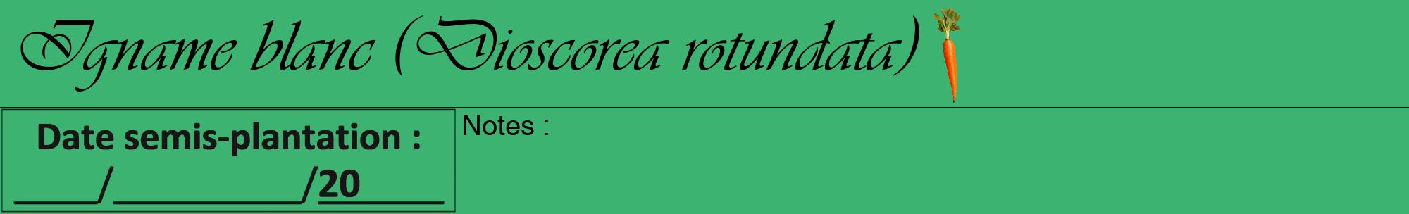 Étiquette de : Dioscorea rotundata - format a - style noire12viv avec comestibilité simplifiée