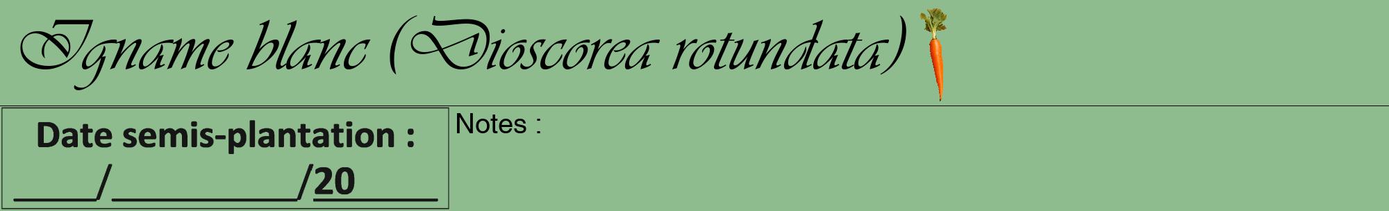 Étiquette de : Dioscorea rotundata - format a - style noire13viv avec comestibilité simplifiée