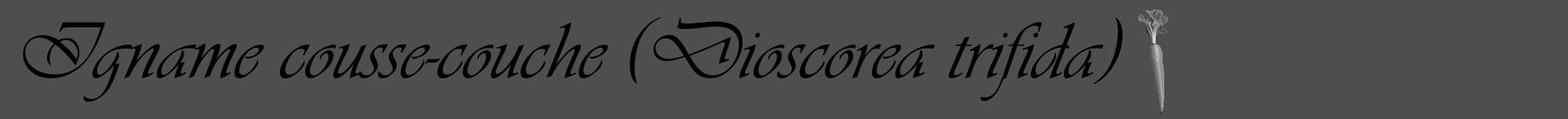 Étiquette de : Dioscorea trifida - format a - style noire33viv avec comestibilité simplifiée