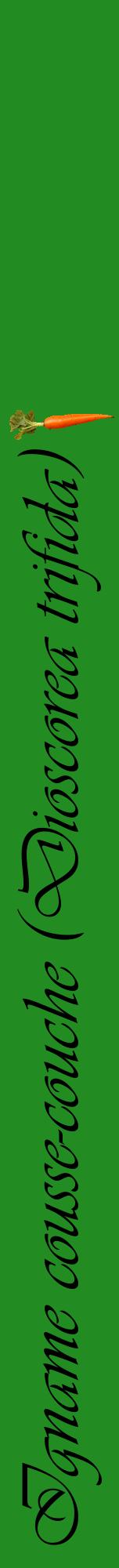 Étiquette de : Dioscorea trifida - format a - style noire10viv avec comestibilité simplifiée