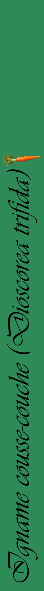 Étiquette de : Dioscorea trifida - format a - style noire11viv avec comestibilité simplifiée