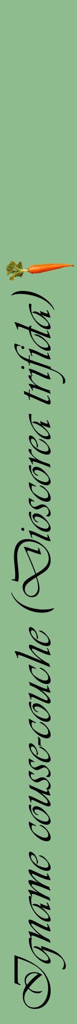 Étiquette de : Dioscorea trifida - format a - style noire13viv avec comestibilité simplifiée