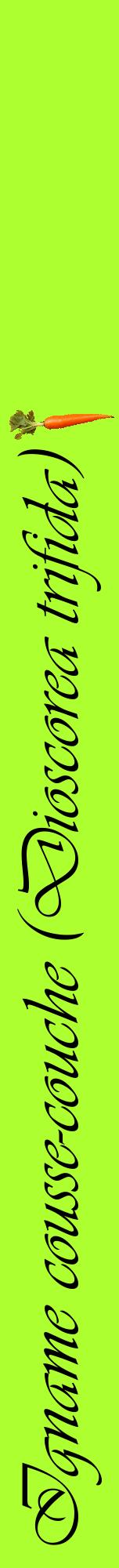 Étiquette de : Dioscorea trifida - format a - style noire17viv avec comestibilité simplifiée