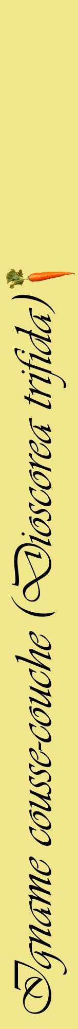 Étiquette de : Dioscorea trifida - format a - style noire20viv avec comestibilité simplifiée