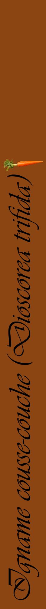 Étiquette de : Dioscorea trifida - format a - style noire30viv avec comestibilité simplifiée
