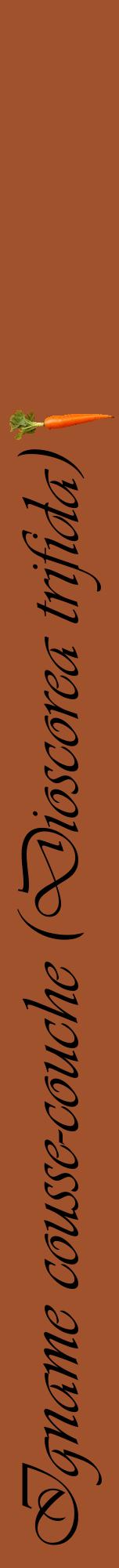 Étiquette de : Dioscorea trifida - format a - style noire32viv avec comestibilité simplifiée