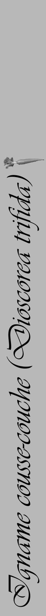 Étiquette de : Dioscorea trifida - format a - style noire39viv avec comestibilité simplifiée - position verticale