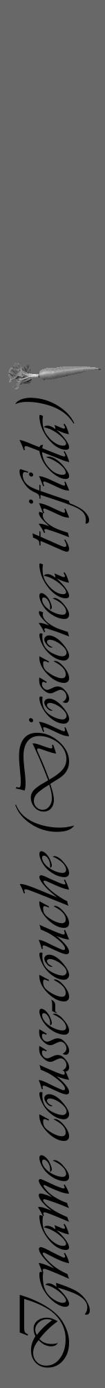 Étiquette de : Dioscorea trifida - format a - style noire43viv avec comestibilité simplifiée - position verticale