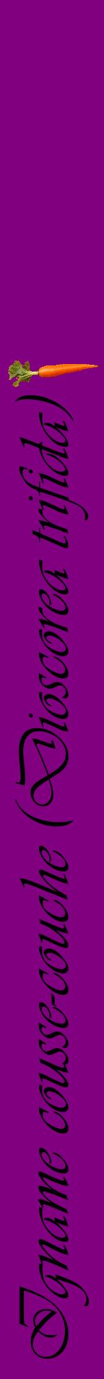Étiquette de : Dioscorea trifida - format a - style noire46viv avec comestibilité simplifiée
