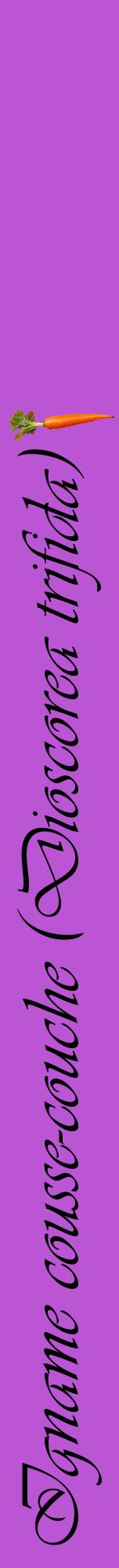 Étiquette de : Dioscorea trifida - format a - style noire50viv avec comestibilité simplifiée