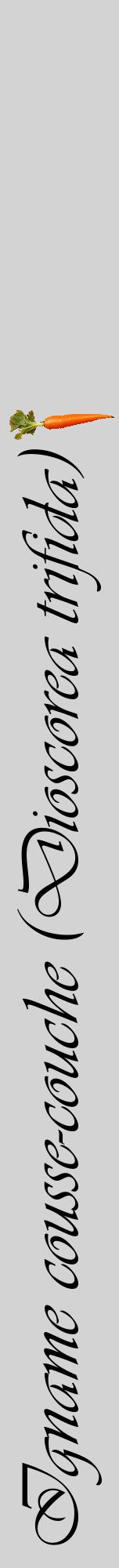 Étiquette de : Dioscorea trifida - format a - style noire56viv avec comestibilité simplifiée