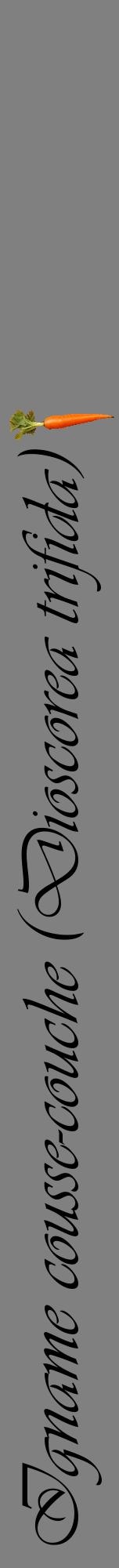 Étiquette de : Dioscorea trifida - format a - style noire57viv avec comestibilité simplifiée