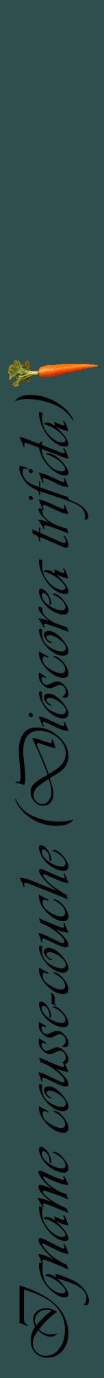 Étiquette de : Dioscorea trifida - format a - style noire58viv avec comestibilité simplifiée