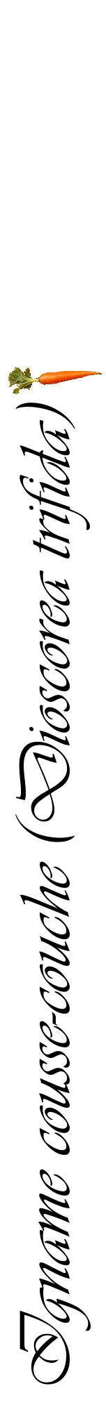 Étiquette de : Dioscorea trifida - format a - style noire60viv avec comestibilité simplifiée
