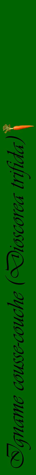Étiquette de : Dioscorea trifida - format a - style noire8viv avec comestibilité simplifiée