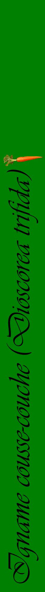 Étiquette de : Dioscorea trifida - format a - style noire9viv avec comestibilité simplifiée