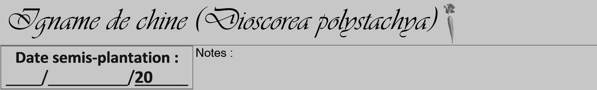 Étiquette de : Dioscorea polystachya - format a - style noire15viv avec comestibilité simplifiée