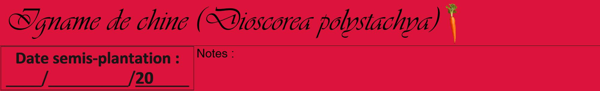 Étiquette de : Dioscorea polystachya - format a - style noire36viv avec comestibilité simplifiée