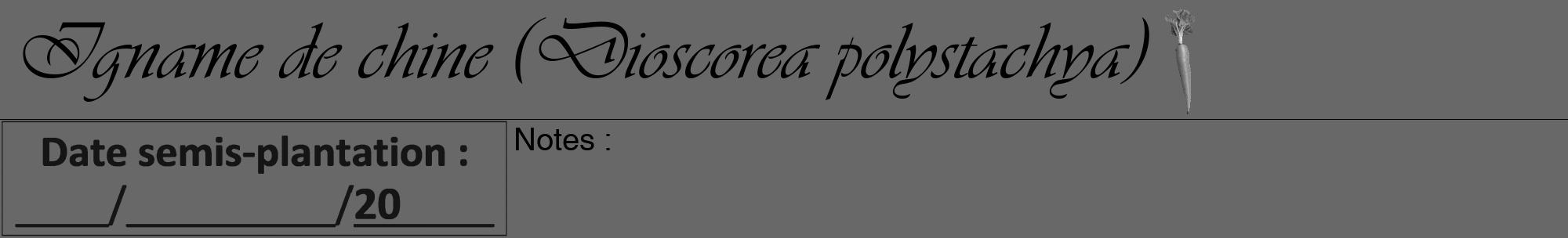Étiquette de : Dioscorea polystachya - format a - style noire43viv avec comestibilité simplifiée