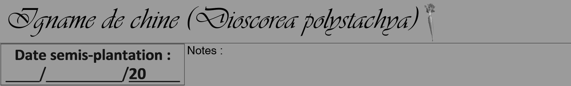 Étiquette de : Dioscorea polystachya - format a - style noire52viv avec comestibilité simplifiée