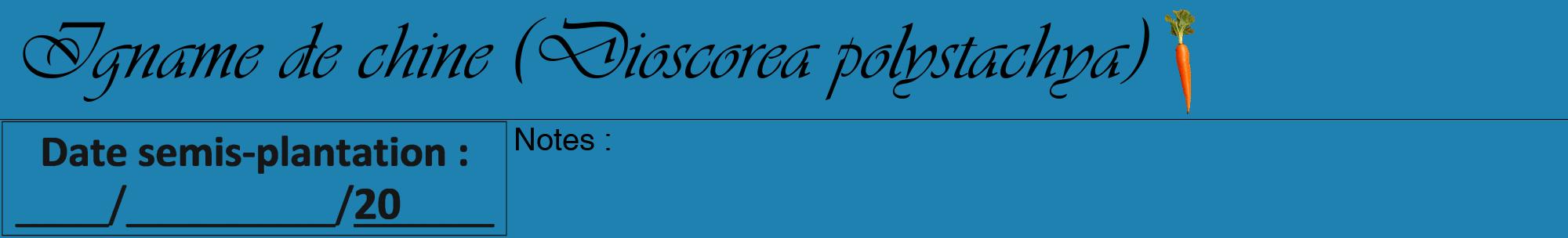 Étiquette de : Dioscorea polystachya - format a - style noire6viv avec comestibilité simplifiée