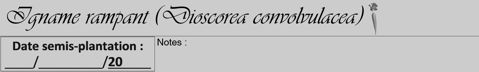 Étiquette de : Dioscorea convolvulacea - format a - style noire0viv avec comestibilité simplifiée