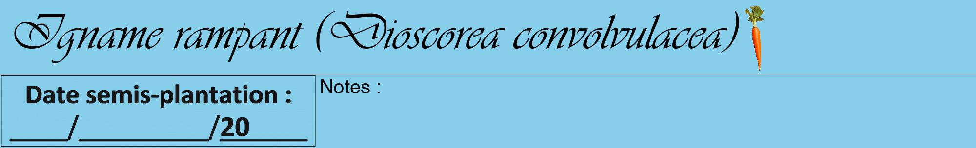 Étiquette de : Dioscorea convolvulacea - format a - style noire1viv avec comestibilité simplifiée