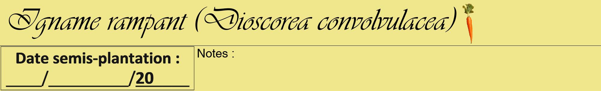 Étiquette de : Dioscorea convolvulacea - format a - style noire20viv avec comestibilité simplifiée