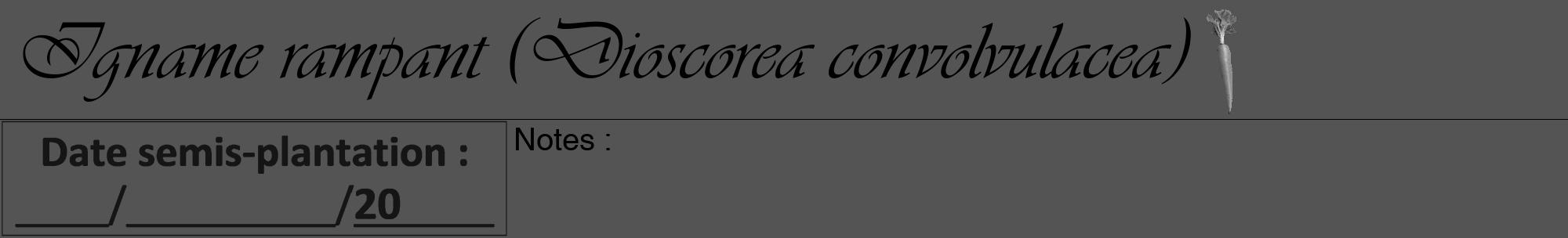 Étiquette de : Dioscorea convolvulacea - format a - style noire30viv avec comestibilité simplifiée