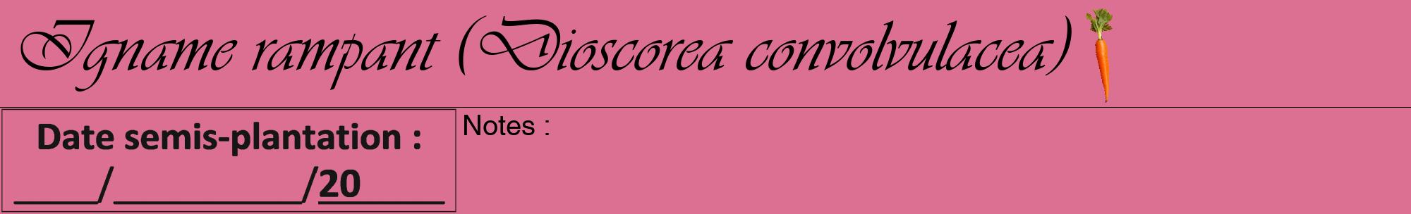 Étiquette de : Dioscorea convolvulacea - format a - style noire44viv avec comestibilité simplifiée