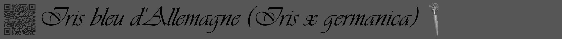 Étiquette de : Iris x germanica - format a - style noire45viv avec qrcode et comestibilité simplifiée