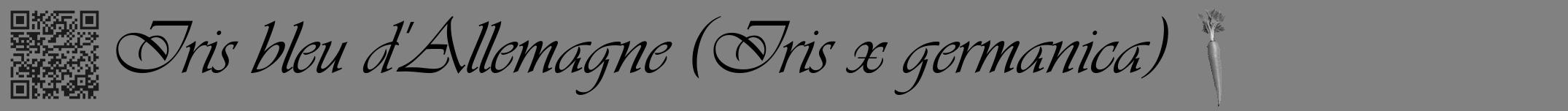 Étiquette de : Iris x germanica - format a - style noire50viv avec qrcode et comestibilité simplifiée