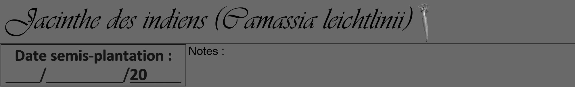 Étiquette de : Camassia leichtlinii - format a - style noire11viv avec comestibilité simplifiée