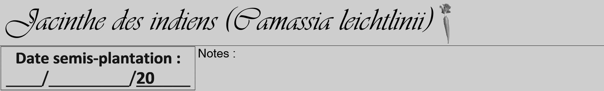 Étiquette de : Camassia leichtlinii - format a - style noire17viv avec comestibilité simplifiée