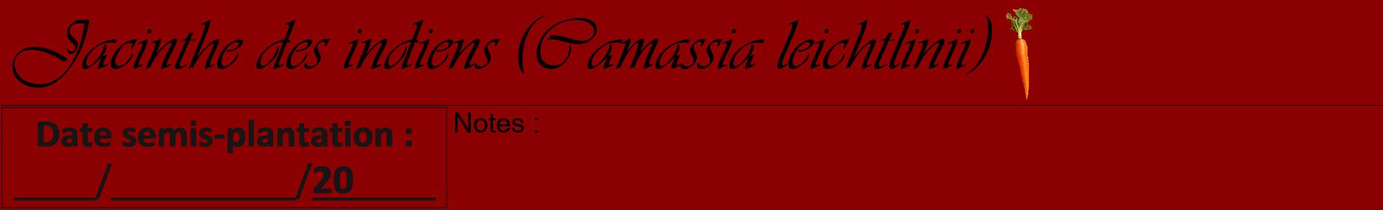 Étiquette de : Camassia leichtlinii - format a - style noire34viv avec comestibilité simplifiée