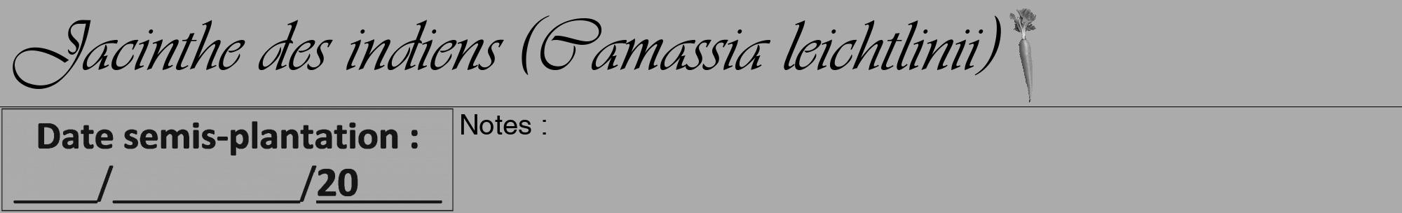 Étiquette de : Camassia leichtlinii - format a - style noire37viv avec comestibilité simplifiée