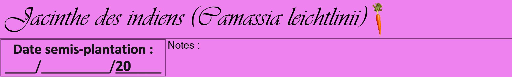 Étiquette de : Camassia leichtlinii - format a - style noire53viv avec comestibilité simplifiée