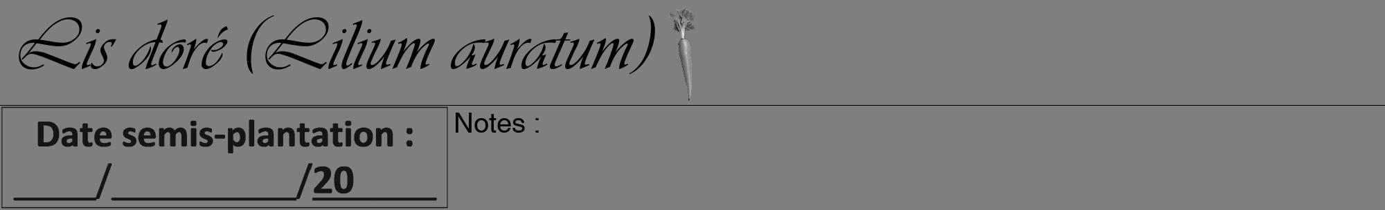 Étiquette de : Lilium auratum - format a - style noire31viv avec comestibilité simplifiée