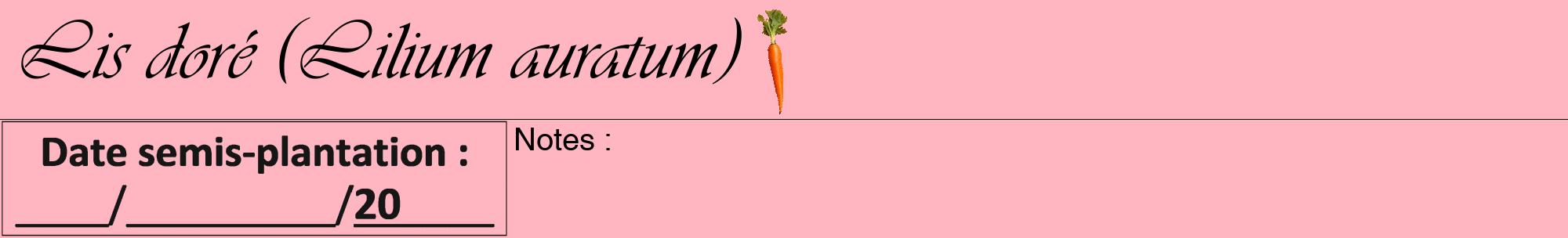 Étiquette de : Lilium auratum - format a - style noire41viv avec comestibilité simplifiée