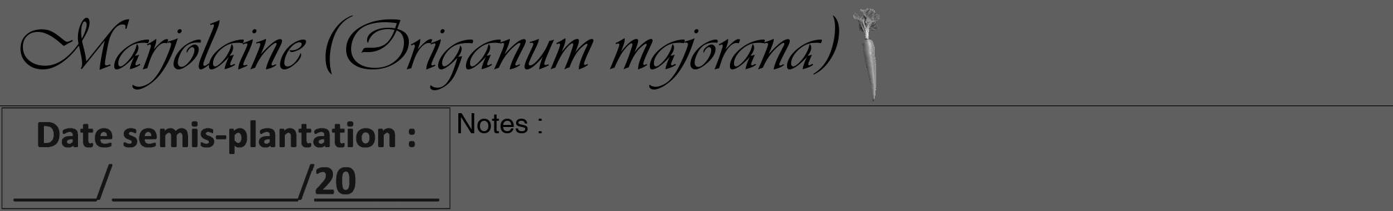 Étiquette de : Origanum majorana - format a - style noire10viv avec comestibilité simplifiée