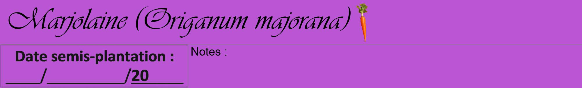 Étiquette de : Origanum majorana - format a - style noire50viv avec comestibilité simplifiée