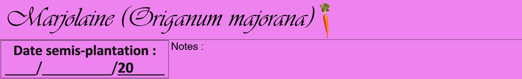 Étiquette de : Origanum majorana - format a - style noire53viv avec comestibilité simplifiée