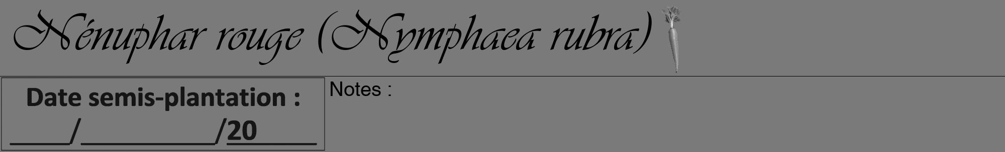 Étiquette de : Nymphaea rubra - format a - style noire3viv avec comestibilité simplifiée