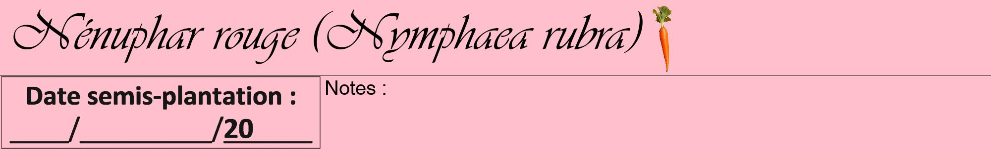 Étiquette de : Nymphaea rubra - format a - style noire40viv avec comestibilité simplifiée