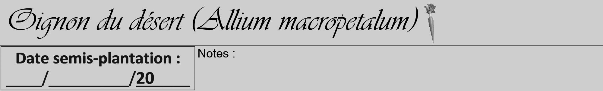 Étiquette de : Allium macropetalum - format a - style noire17viv avec comestibilité simplifiée
