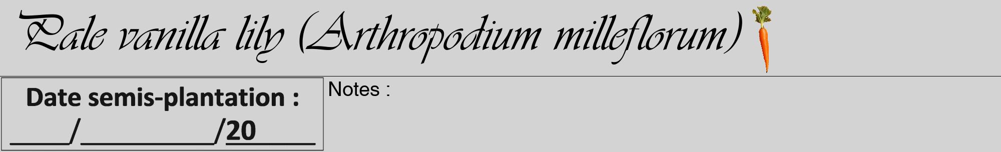 Étiquette de : Arthropodium milleflorum - format a - style noire56viv avec comestibilité simplifiée