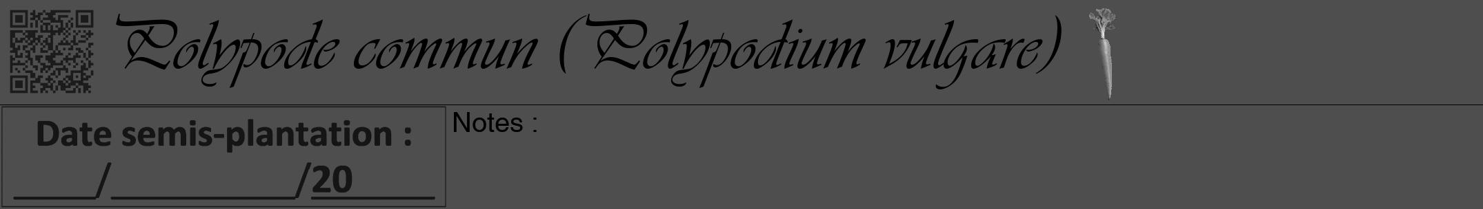 Étiquette de : Polypodium vulgare - format a - style noire33viv avec qrcode et comestibilité simplifiée