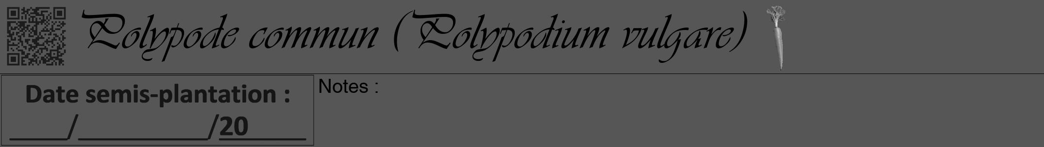 Étiquette de : Polypodium vulgare - format a - style noire45viv avec qrcode et comestibilité simplifiée