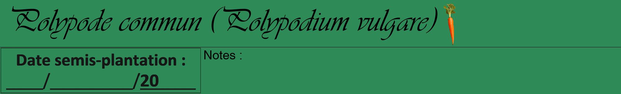 Étiquette de : Polypodium vulgare - format a - style noire11basiqueviv avec comestibilité simplifiée