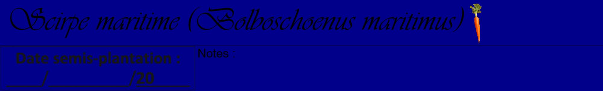 Étiquette de : Bolboschoenus maritimus - format a - style noire7viv avec comestibilité simplifiée